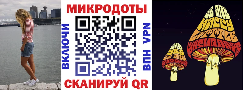 МЕГА маркетплейс  Озёры  Псилоцибиновые грибы мицелий 